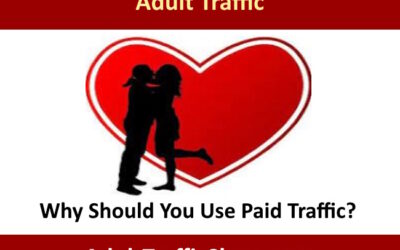 Adult Traffic: Why Should You Use Paid Traffic?